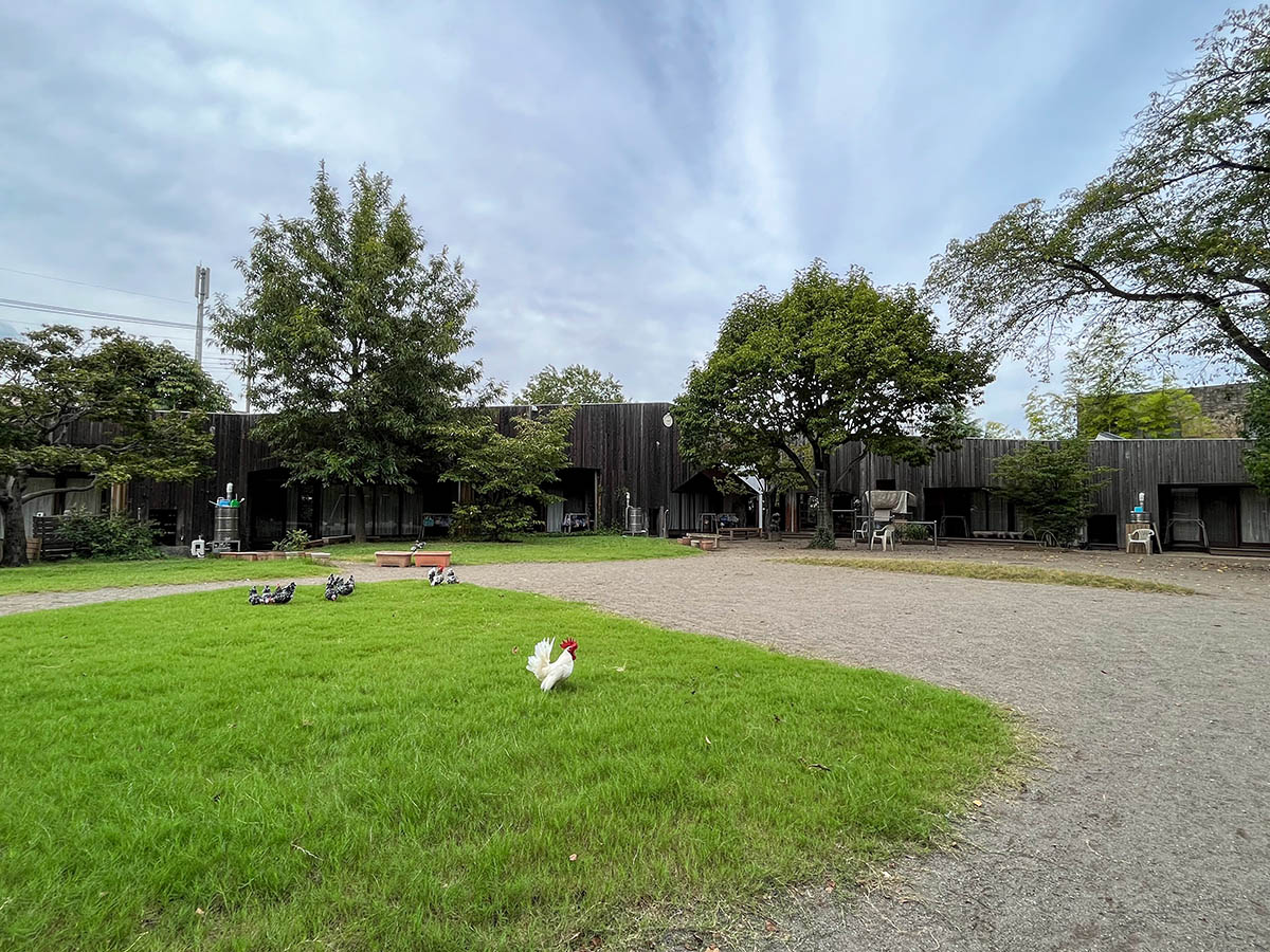 園の概要　狭山ひかり幼稚園